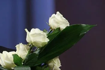 Поздравление министра здравоохранения Калининградской области с Днем медицинского работника